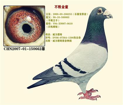 父亲