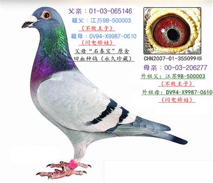 母亲