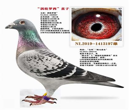 父亲
