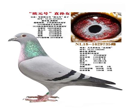 母亲