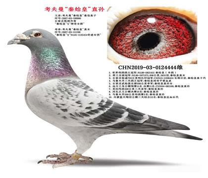 父亲