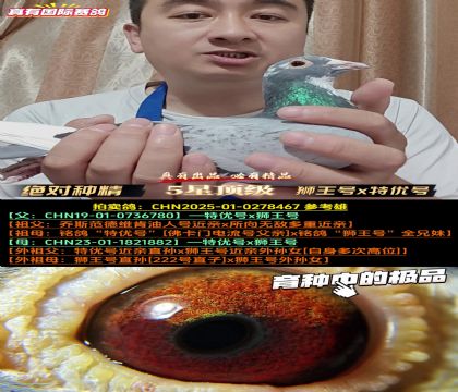 《超级种精》狮王号x特优号