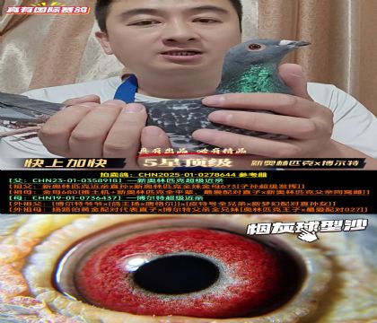 《快上加快》新奥林匹克x博尔特双近亲