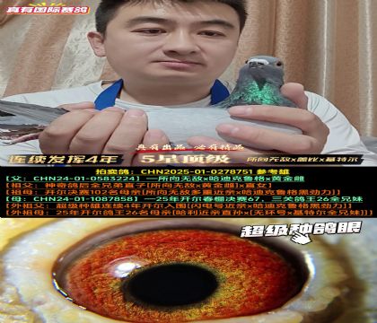 《开尔专线连续飞4年》所向无敌x盖比x基特尔