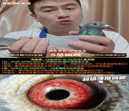 《铜都决赛599全妹》乔斯托内x利奥博尔特