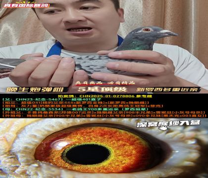 《超级041近亲直孙》新罗西多重近亲