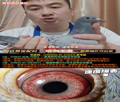 《新奥林匹克超级近亲》新奥林匹克全妹近亲直孙女