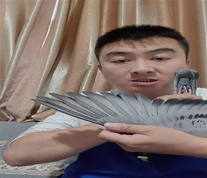 翅膀
