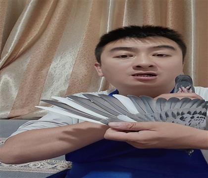 翅膀
