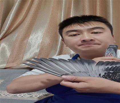 翅膀