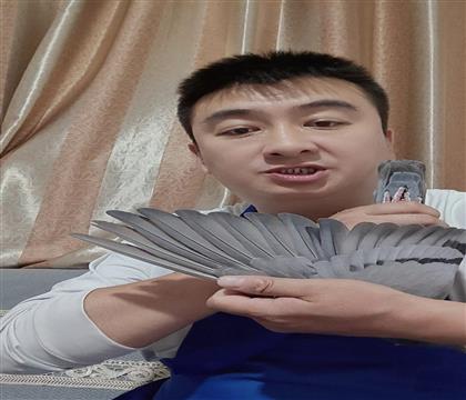 翅膀