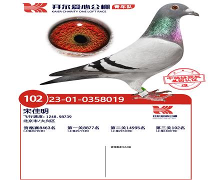 开尔决赛102名