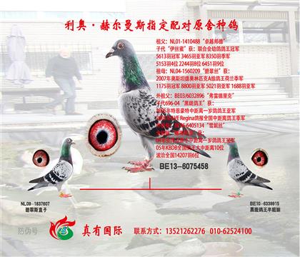 姥爷