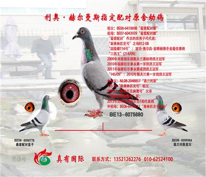 金母680推土机全妹