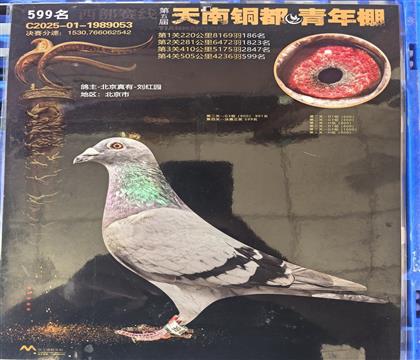 铜都决赛599名