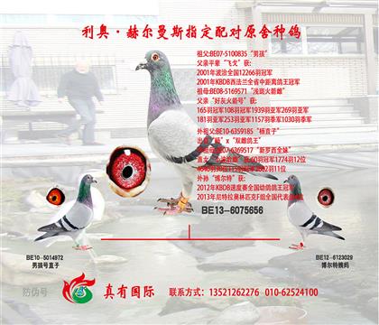 奶奶