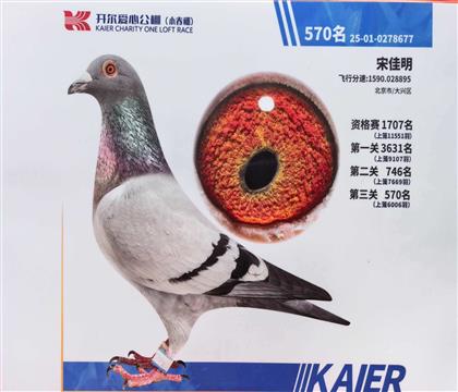 26年春开尔决赛570
