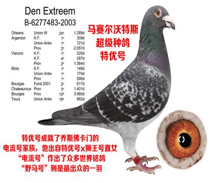 特优号