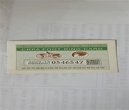 足环证