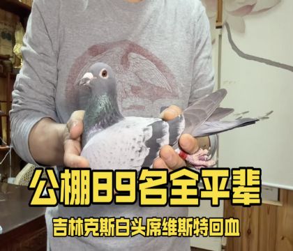 公棚89名全平辈