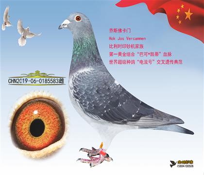 母亲:黑豹金红眼家族