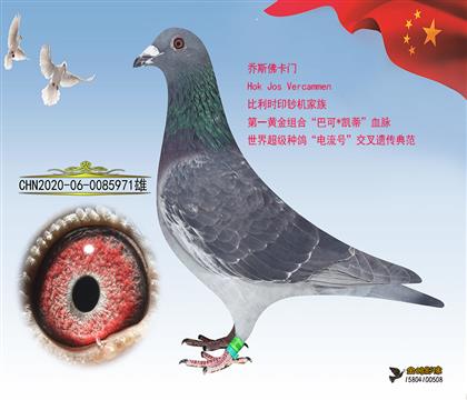母亲:黑豹金红眼家族