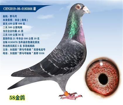 父亲:电流号 666