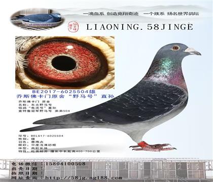 父亲:电流号