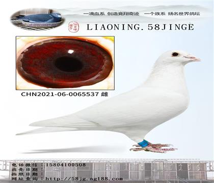 母亲:电流号近亲白色幽灵