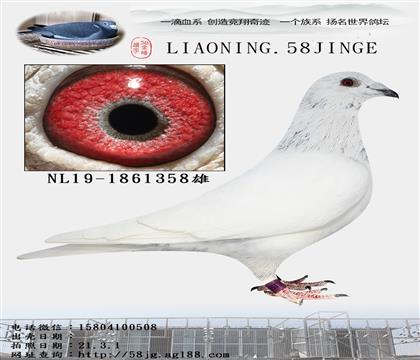 父亲:鲁道白