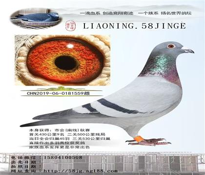 母亲:飞戈胖妈妈直女