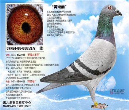 母亲