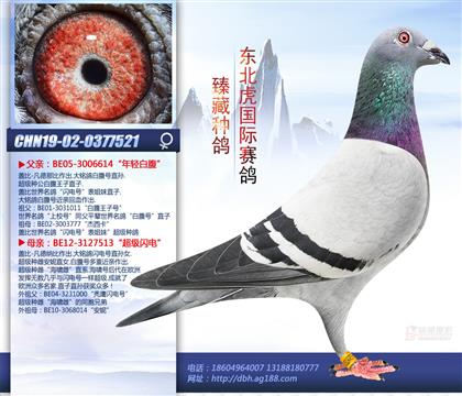 母亲