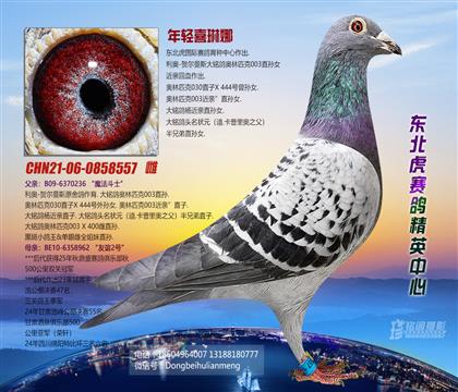 母亲