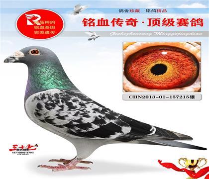 父亲