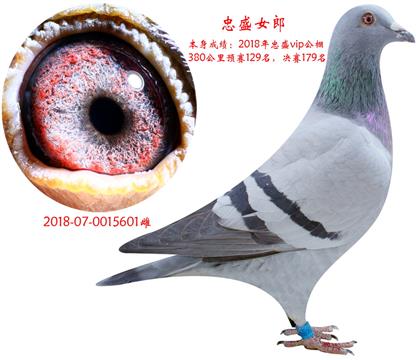 母亲照片