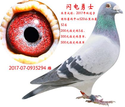 父照片