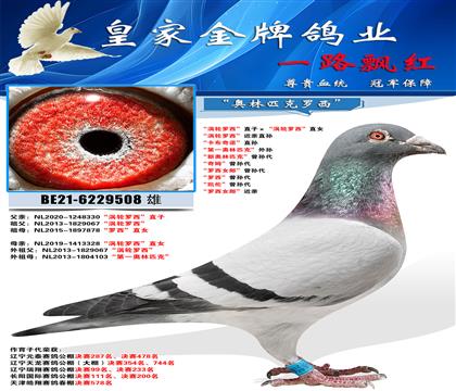 父照片