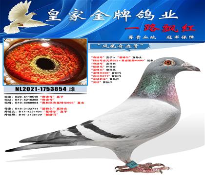 母亲照片