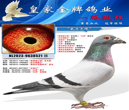 父照片