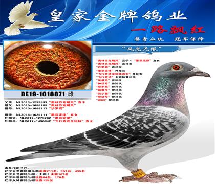 母亲照片