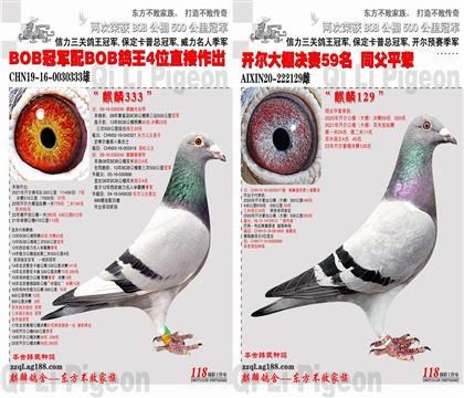父母