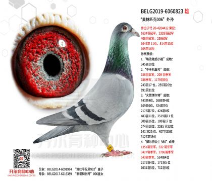 4父亲BELG2019-6060823