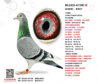 4父亲BELG2022-4215981