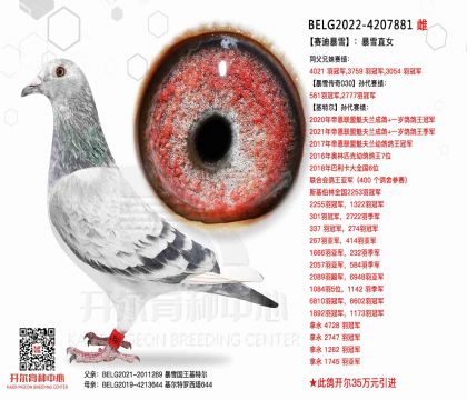 5母亲BELG2022-4207881图