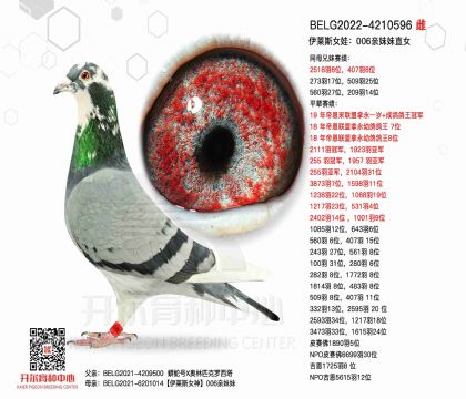 5母亲BELG2022-4210596图