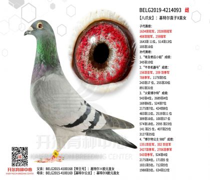 5母亲BELG2019-4214093图