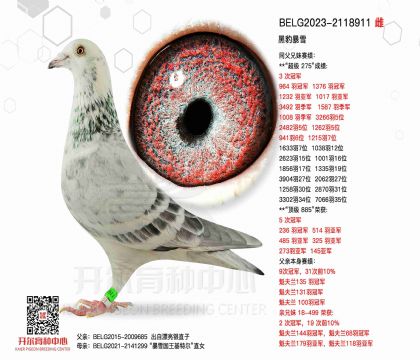 5母亲BELG2023-2118911图