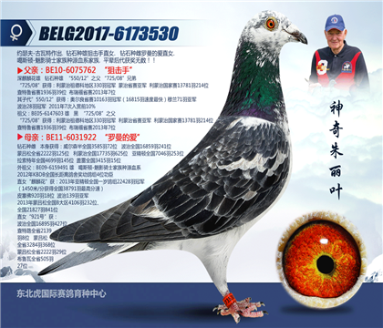母亲