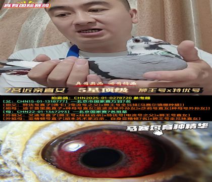 《北京国家赛7名近亲直女》狮王号x特优号
